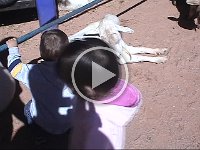 Clip 01 19